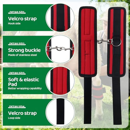 Goat Milking Hobbles Binding Straps,for Milking,Shearing 2 Pack,RED | Nylon Goat Binding Tool for Goat Mini Goat Nigerian Dwarfs Nubian Goats (Red)
