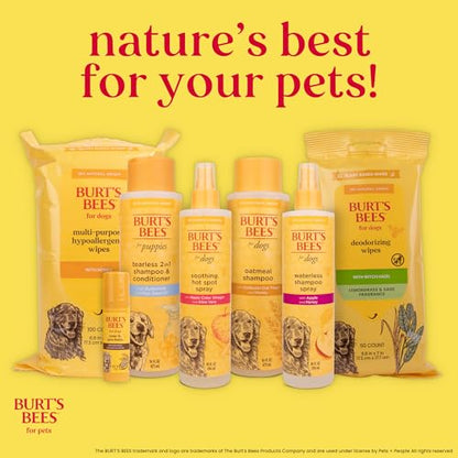 Burt's Bees for Pets Palm Brush with Hemp Bristles, Large Dogs, 24-Pack - size: 24 Count