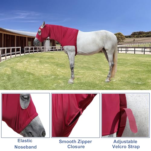 Horse Slinky Hood with Zipper, Stretchy Sleazy Hood Wine Red M - color: Wine Red, size: Medium