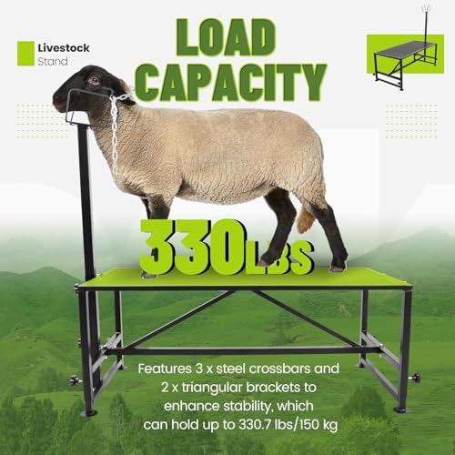 Kojem 51x23 Inches Milking Stand for Goats Livestock Trimming Stand | Platform Adjustable 18" - 33" Animal Head Holding Bar Adjustable 46" - 57" Steel Black Trimming Frame