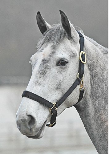 Shires Topaz Leather Breakaway Nylon Headcollar - color: Black, size: Small Pony