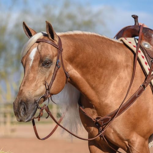 Billy Royal Oiled Hermann Oak Leather Browband Headstall | Supreme Horse Equine Gear Handcrafted | Size Large Horse