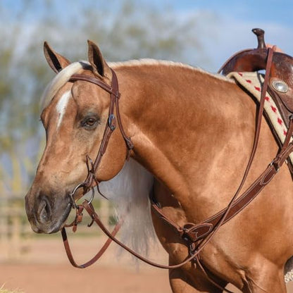 Billy Royal Oiled Hermann Oak Leather Browband Headstall | Supreme Horse Equine Gear Handcrafted | Size Large Horse