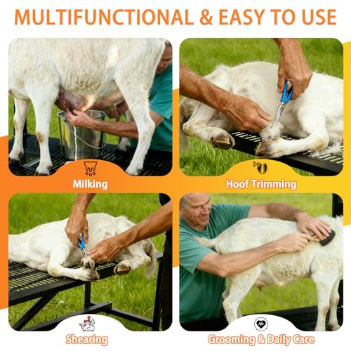 Upgrade Goat Milk Stand with Feed Bin, 600lbs Goat Stand for Grooming & Hoof Trimming, 1mm Thick Platform & Anti-Slip Design, Goat Grooming Stand with Firm Head Lock and Adjustable Head - size: L - 48"L x 19"H