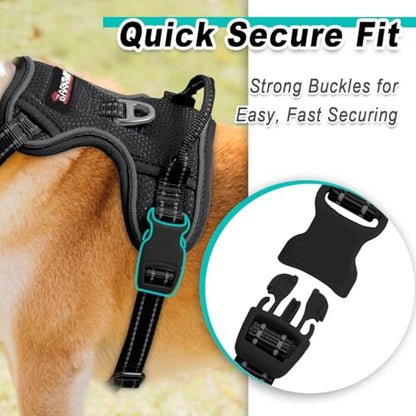 BARKBAY Dog Harness for Small Sized Dog No Pull Mesh 2 Clips Dog Vest - color: Black-Mesh, size: X-Small