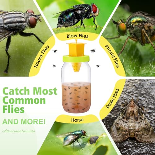 8 Pack Fly Traps Outdoor, Reusable Fly Catcher Bottles with Bait Hanging Flies Traps with Non-Toxic Dissolvable Bait Refills for Flying Insect Drain Patio Garden Yard Barn Outdoor
