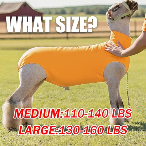Spandex Goat Tube for Show Goats - Show Livestock Supplies: Goat Covers & Blankets (Light Grayish Blue, Medium) - color: light grayish blue, size: Medium