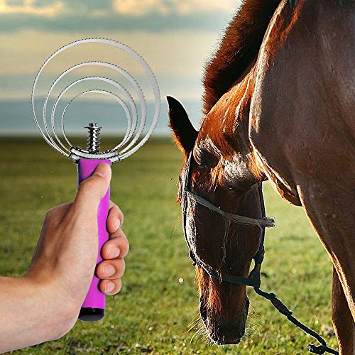 BOTH WINNERS Reversible Stainless Steel Curry Comb with Soft Touch Grip (Pink) - color: pink