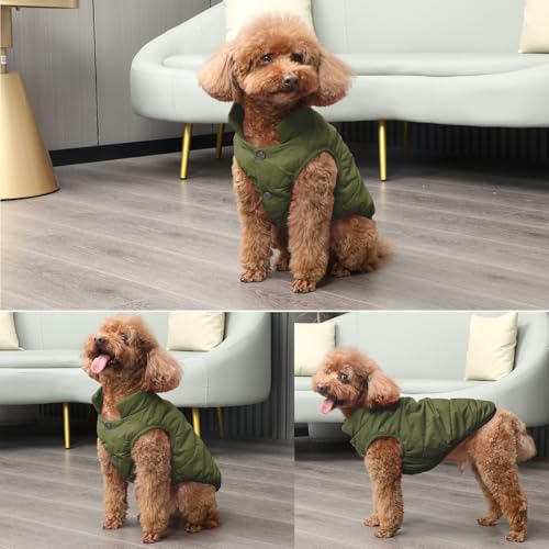 JoyDaog Fleece Lined Dog Jacket for Small Dogs,Winter Dog Coat,Green S - color: Green, size: Small