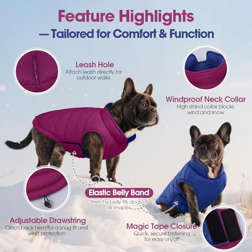 QBLEEV Reversible Dog Jacket, Windproof Dog Coat, Lightweight Puffer Vest - color: Violet-Blue, size: Medium