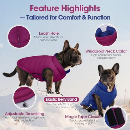 QBLEEV Reversible Dog Jacket, Windproof Dog Coat, Lightweight Puffer Vest - color: Violet-Blue, size: XX-Large