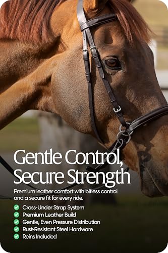 Equinavia Saga Leather Horse English Bridle, Stainless Steel Hardware Reins - color: Chocolate Brown, size: Warmblood