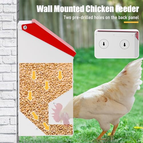 Automatic Chicken Feeder 10lb Hanging Feeder Trough with Scoop | Wall Mounted Poultry Feeder Trough, Galvanized Metal Gravity Chicken Feeder, for Chickens Ducks Goose Poultry