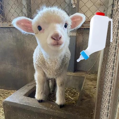 Lamb Feeding Bottle Hangable Soft Nipple Drink Clear Scale | Small Animal Bottle for Kid Goat Supplies Lamb Feeding Hangable Soft Nipple Drink Clear Scale Kid Goat Supplies Small Animal