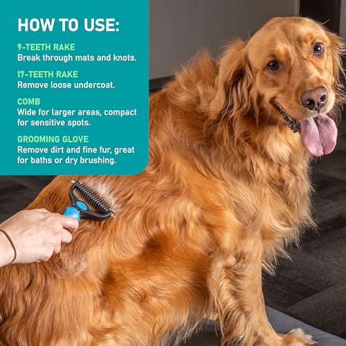 Maxpower Planet Dog Brush for Shedding, Dematting Grooming Tool, Large - color: B1 - Rake, Gloves & Comb, size: Large