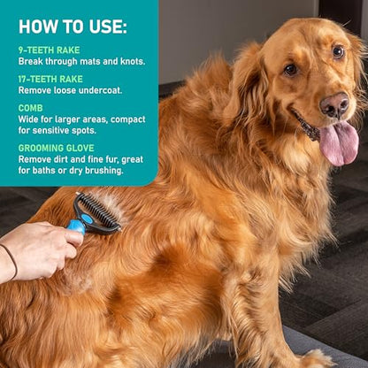Maxpower Planet Dog Brush for Shedding, Dematting Grooming Tool, Large - color: B1 - Rake, Gloves & Comb, size: Large