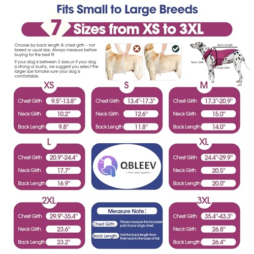 QBLEEV Reversible Dog Jacket, Windproof Dog Coat, Lightweight Puffer Vest - color: Violet-Blue, size: Small