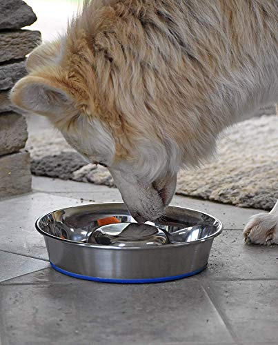 OurPet's DuraPet Slow Feed Stainless Steel Dog Bowl, Silver, Large - size: Large (6 Cups)