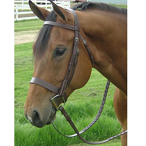 Classic Flat Leather English Hunt Bridle with 3/4" Wide Laced Reins, Stainless Steel Hardware, Heavy Duty. - color: Havana