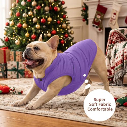 JoyDaog Fleece Lined Dog Jacket for Small Dogs,Winter Dog Coat,Purple M - color: Purple, size: Medium