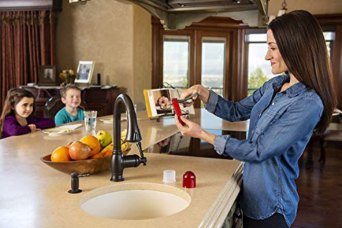 RESCUE! Fruit Fly Trap Bait Refill - 30 Day Supply