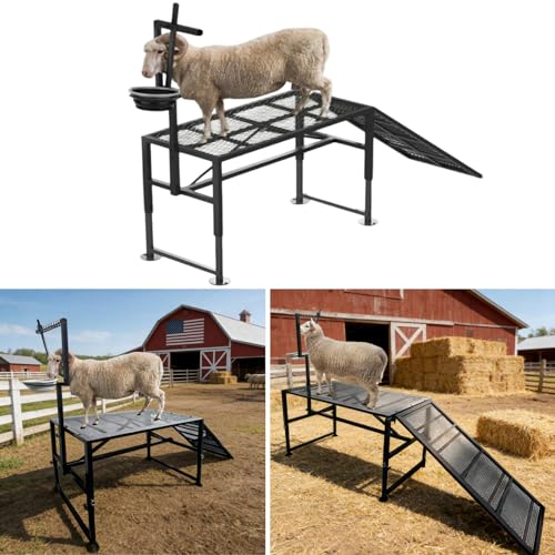 Heavy-Duty Non-Slip Ramp Goat Milking Stand, Height Adjustable Range 18.8–28.8"，600LBS Metal Livestock Trimming Stand with Feed Bin，Goat Stand Ramp Use for Goats ，Lambs & Sheep Trimming Grooming Stand