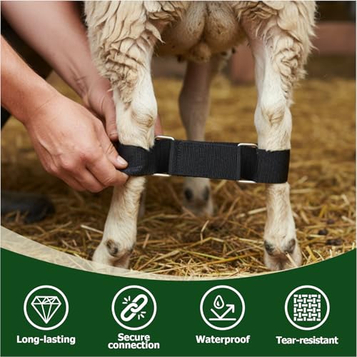 MESINURS Adjustable Goat Hobbles Binding for Milking Stand, Durable Nylon Goat Leg Restraint Strap with Metal Buckle, Anti Kick Goat Binding Tool for Dairy Goats, Nigerian Dwarf, Nubian