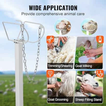 Happybuy Goat & Sheep Stand, 47x23 inch Livestock Stand, Metal with 21" to 33" Adjustable Height, Headpiece and Nose Loop, 500lbs Loading Weight, Perfect for Milking and Shearing, White