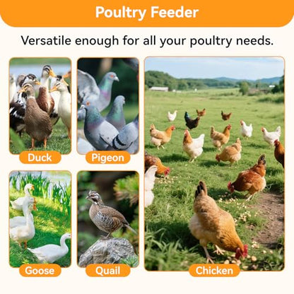 Metal Chicken Feeder 80 LBS Large Capacity, Automatic Poultry Feeder for Dry Feed with Weatherproof Lid and Handle, Heavy-Duty Metal Gravity Feed Dispenser for Outdoor Coop, Chickens, Ducks