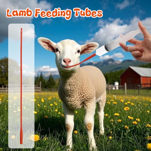 Rubber Lamb Feeding Tubes 16" x 16FR, for Goat Piglet Puppy,Red,10 Pack - color: 10 Pack, size: 16 FR