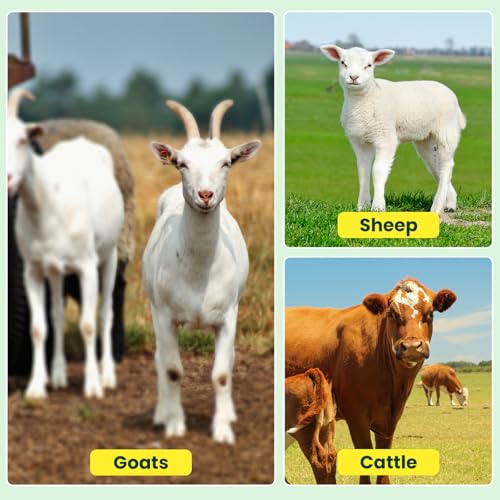 Electric Fence Netting, 164'L x 49.6" H, for Livestock, Goat, Cattle, Sheep