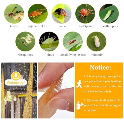 Outdoor Fly Trap Indoor Hanging 60pk, Sticky Fly Strips Tape Paper for Home - size: 60 pack