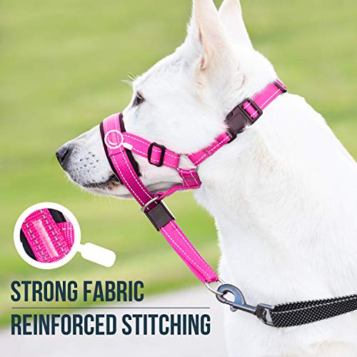 GoodBoy Dog Head Halter with Safety Strap - Stops Heavy Pulling On The Leash - Padded Headcollar for Small Medium and Large Dog Sizes - Head Collar Training Guide Included (Size 2, Pink Nylon) - color: Pink Nylon / Black Padding, size: Size 2 (Pack of 1)