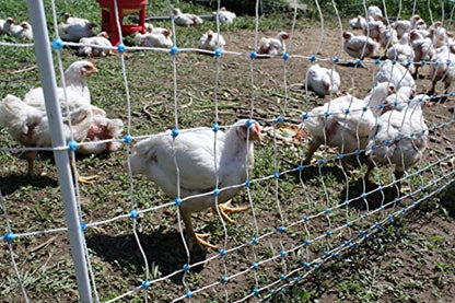 48" x 164' Electric Poultry Netting with Double Spiked Fiberglass Posts | Electric Fence for Chickens in Backyards, Homesteads, Farms and Ranches