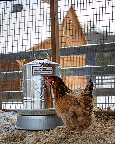 Harris Farms Double Wall Poultry Drinker|Automatic Poultry Water|5 Gallons