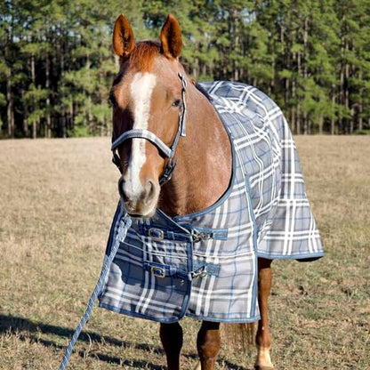 Jeffers Poplar Head Refuge 1200D, Hamilton Blue & Slate Plaid, 81" - Turnout Blanket, Waterproof, 240g Polyfill, Adjustable Chest, Belly Surcingles, Hind Leg Straps, Tail Flap, Horse Blanket - size: 81 in