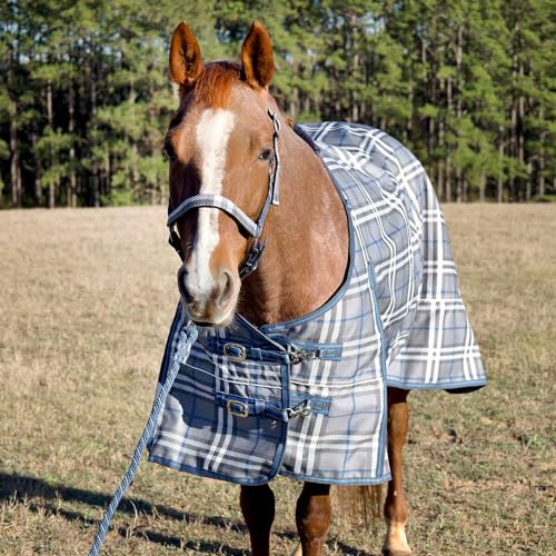 Jeffers Poplar Head Refuge 1200D, Hamilton Blue & Slate Plaid, 81" - Turnout Blanket, Waterproof, 240g Polyfill, Adjustable Chest, Belly Surcingles, Hind Leg Straps, Tail Flap, Horse Blanket - size: 81 in