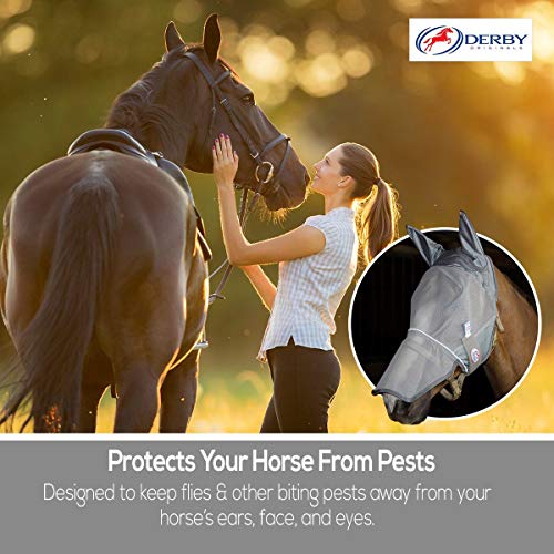 Derby Originals Reflective Fly Mask with One Year Warranty - with Ears and Nose Cover - color: Summer Blue