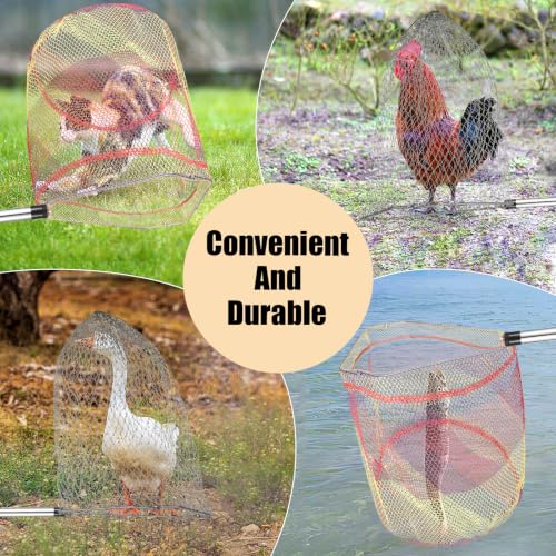 Chicken Catching Net 2 Pcs, Bird Catching Net, 32" to80 Animal Catching Net | Chicken Net Stainless Steel Poultry Catcher for Catching Small Chicken, Goose, Ducks, Fish, Birds(2 Nets, 1 Pole Included)