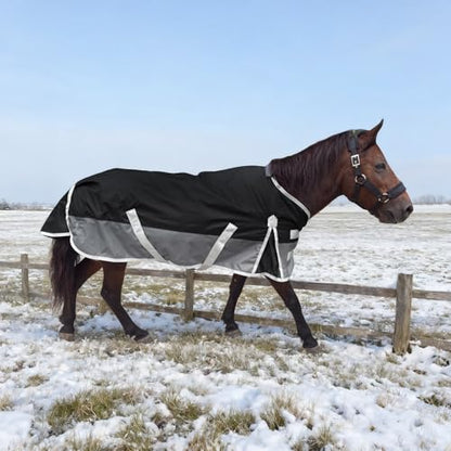 Winter Blanket for Mini Horse, Pony, Donkey, Llama, Alpaca, Small Equine- 220g Filled Medium Weight Winter Horse Blanket - 1200D Water Resistant (55‘’) - size: 55‘’