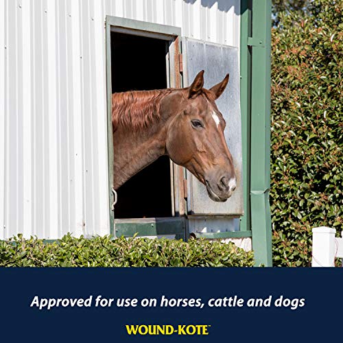 Farnam Wound-Kote Blue Lotion Spray Horse Wound Care for use on Horses and Dogs, Antiseptic Properties, for Minor Wounds, Cuts and Sores, 5 Oz - size: 5 ounces