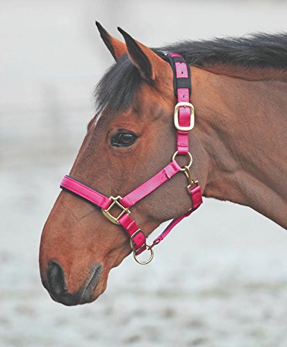 Shires Topaz Leather Breakaway Nylon Headcollar - color: Raspberry, size: X-Small Pony