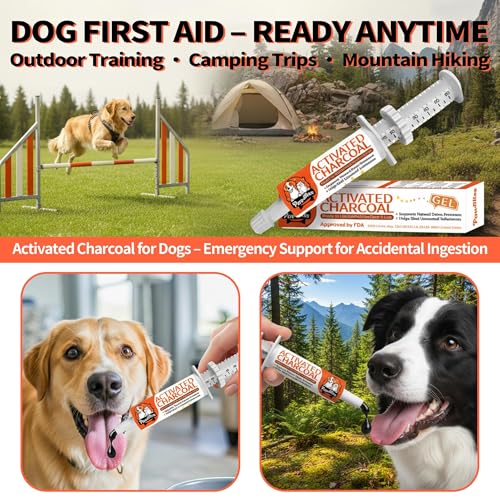 Activated Charcoal First Aid Kit -Emergency Support for Dogs, Cats & Puppies, Natural Charcoal Formula for Digestive Balance, Camping & Home Essential Oral Anti Diarrhea Digestive (60ml 1Tubes)