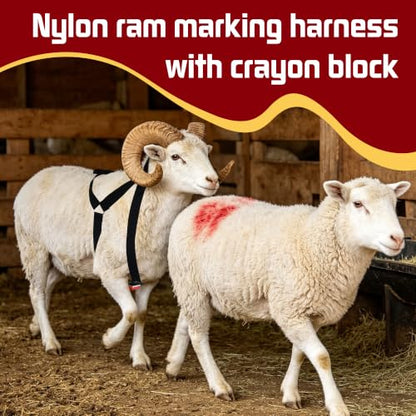 Ram Breeding Marking Harness &1 Marking Crayon for Goat Sheep,Red