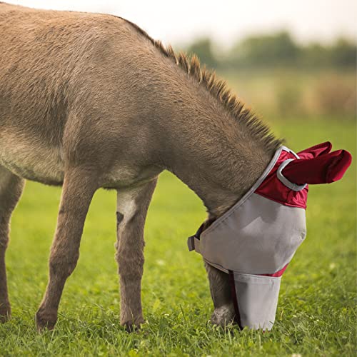 Harrison Howard Mule Donkey Fly Mask Full Face Protection with Nose Cover - color: Red, size: Medium