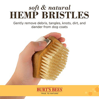 Burt's Bees for Pets Palm Brush with Hemp Bristles, Large Dogs, 24-Pack - size: 24 Count