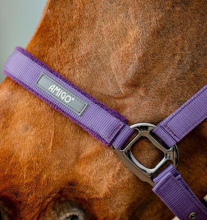 Horseware® Amigo® Halter & Leadrope Set - color: Winterberry, size: Pony