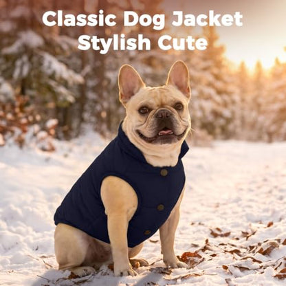 JoyDaog Fleece Lined Dog Jacket for Small Dogs,Winter Dog Coat,Blue S - color: Blue, size: Small