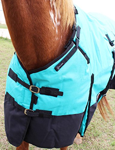 Challenger 1200D Turnout Waterproof Horse Winter Blanket Heavy 511 - color: Turquoise/Black, size: 76 inches