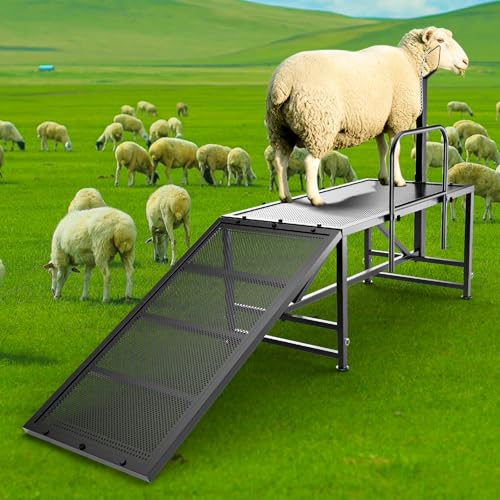 Heavy Duty Sheep Trimming Stand with Ramp - Adjustable Livestock Grooming & Milking Stand for Goat, Sheep Shearing and Milking Frame